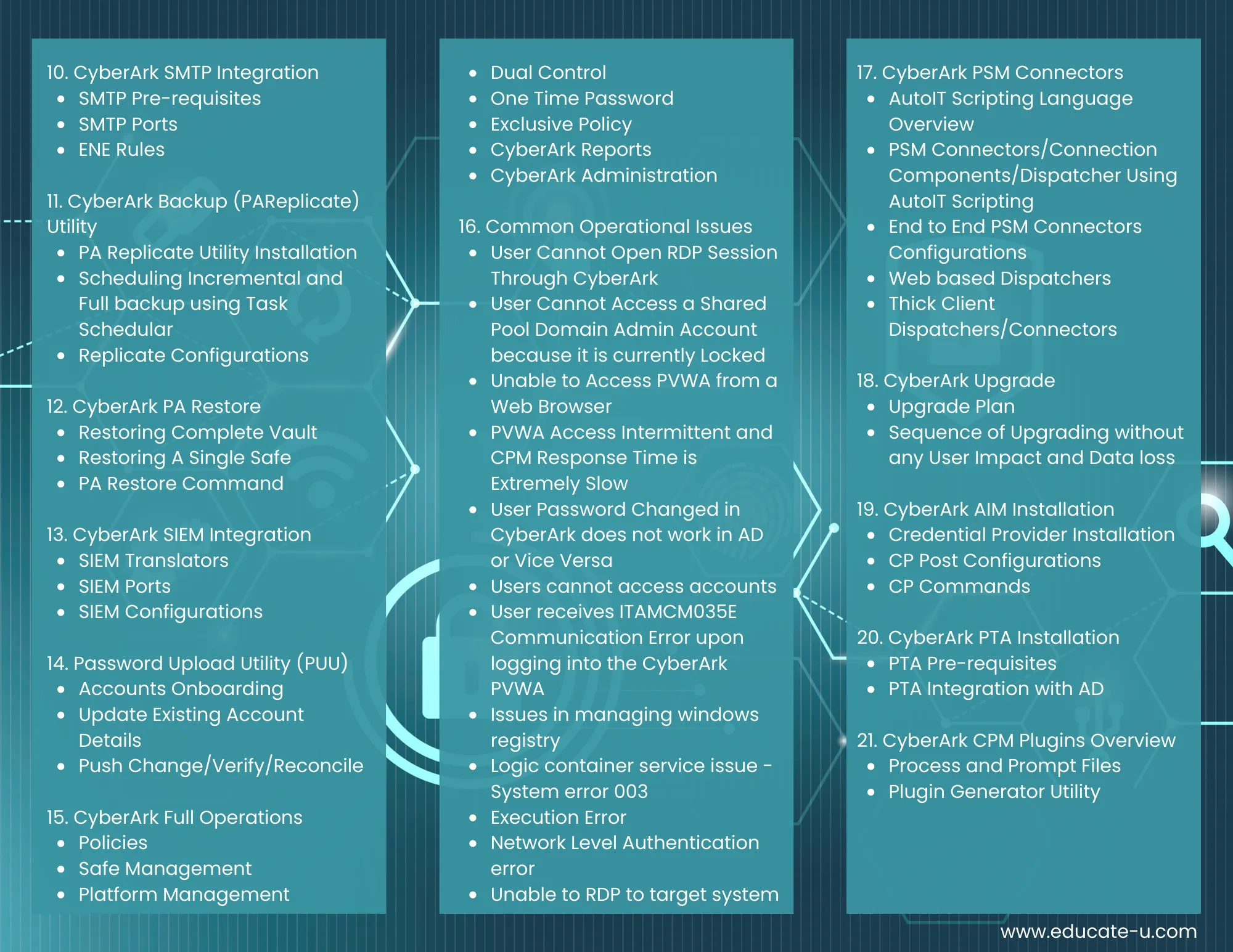 CyberArk Trifold (1)